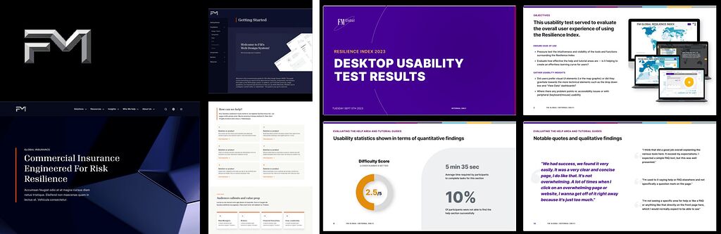 FM.com redesign screens and the FM Resilience Index usability study